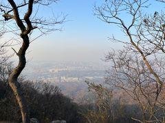 -紫金山山顶公园