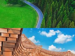 -宜兴龙背山森林公园