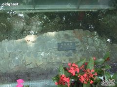 -北京路步行街-千年古道遗址