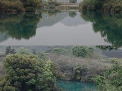 -龙坞茶村