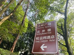 -铁山坪森林公园