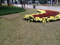 -重庆市江北嘴中央商务区中央公园