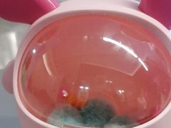 -JOYA湾悦国际酒店(世界之窗店)