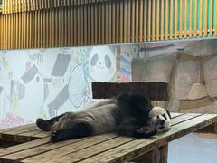 -无锡动物园·太湖欢乐园