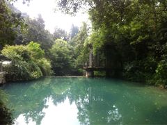 iphone_upload_pic-九溪烟树