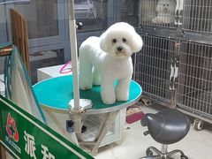 -义乌市派和宠物医院(贝村诊所)