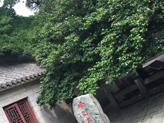-青岛崂山太清宫