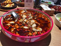 -青梅酒肆PLUS(长白仙岛北路店)