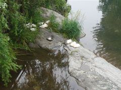 DSC00423-北京水岸山吧度假村(雁栖镇店)