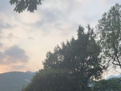 -蘇河湾·新鲁菜·泰山宴(泰山店)