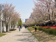 -新天地活力PARK