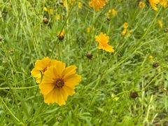 -昆山城市生态森林公园