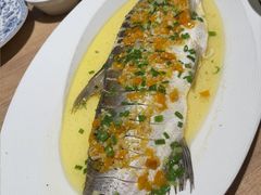 -连鹭海鲜·海肠捞饭·海胆饭(星海店)