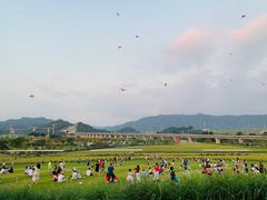 -光明小镇欢乐田园