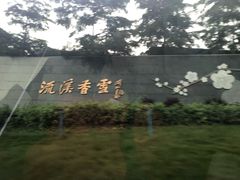-广州市流溪河国家森林公园