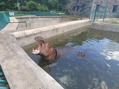 -哈尔滨北方森林动物园