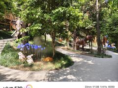 -东明山森林公园