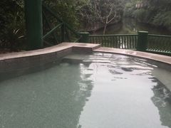 -鱼凫国都大酒店温泉
