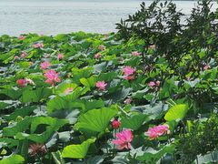 -云龙湖旅游景区