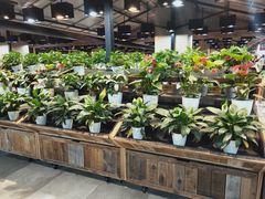 -果蔬好生活超市(乐堤港店)