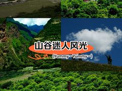 -白鹭湾湿地公园
