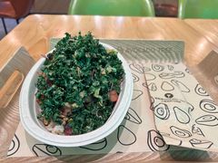 -油梨树AVOCADO TREE(望京店)