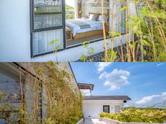 -广州市流溪河国家森林公园