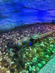 -酷嗒动物文化乐园(cutezoo西溪乐天城店)