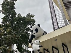 -嫩芽 ·地道重庆菜(十八梯露台夜景店)