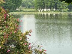 -艾溪湖湿地公园