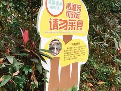 -云溪植物园