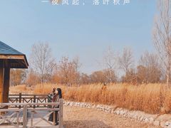 -野鸭湖国家湿地公园