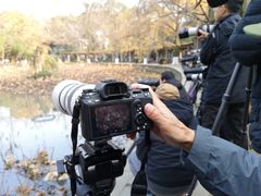 -四川大学(华西校区)