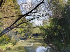 -同里国家湿地公园