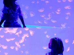 -沈阳海洋探索中心