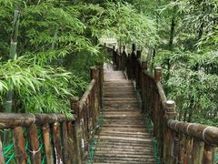 -陶祖圣境风景区