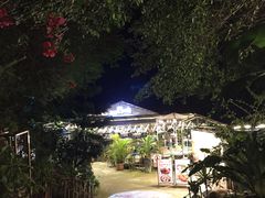 -芭厘农庄老字号·清远鸡