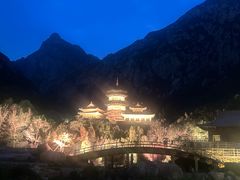 -禅宗少林·音乐大典