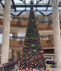 -上海浦东喜来登由由大酒店·宴会厅