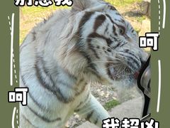 -西安秦岭野生动物园