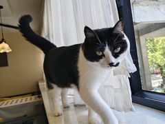 -路易时光(蕴川路店)