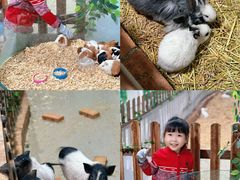 -弘阳·未来世界(弘阳广场店)