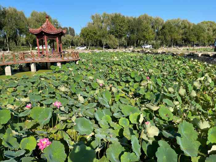 稻香湖自然溼地公園-