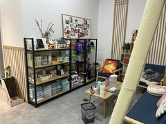 -山宅一喵德文卷毛猫舍