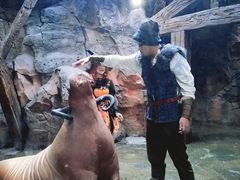 -哈尔滨波塞冬海底世界