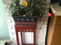 -菩提树·素食餐厅(汇智国际商业中心店)