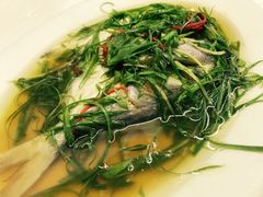-老三鱼仔店