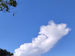 -深圳大学(丽湖校区)