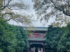 -灵谷景区