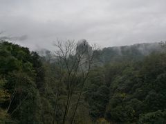 -武夷山风景名胜区-虎啸岩
